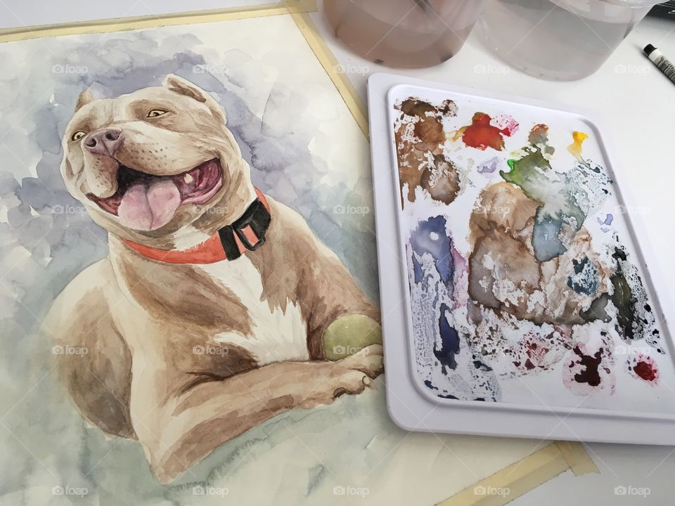 Painting a cute pitbull dog in watercolor with the color palette on the side