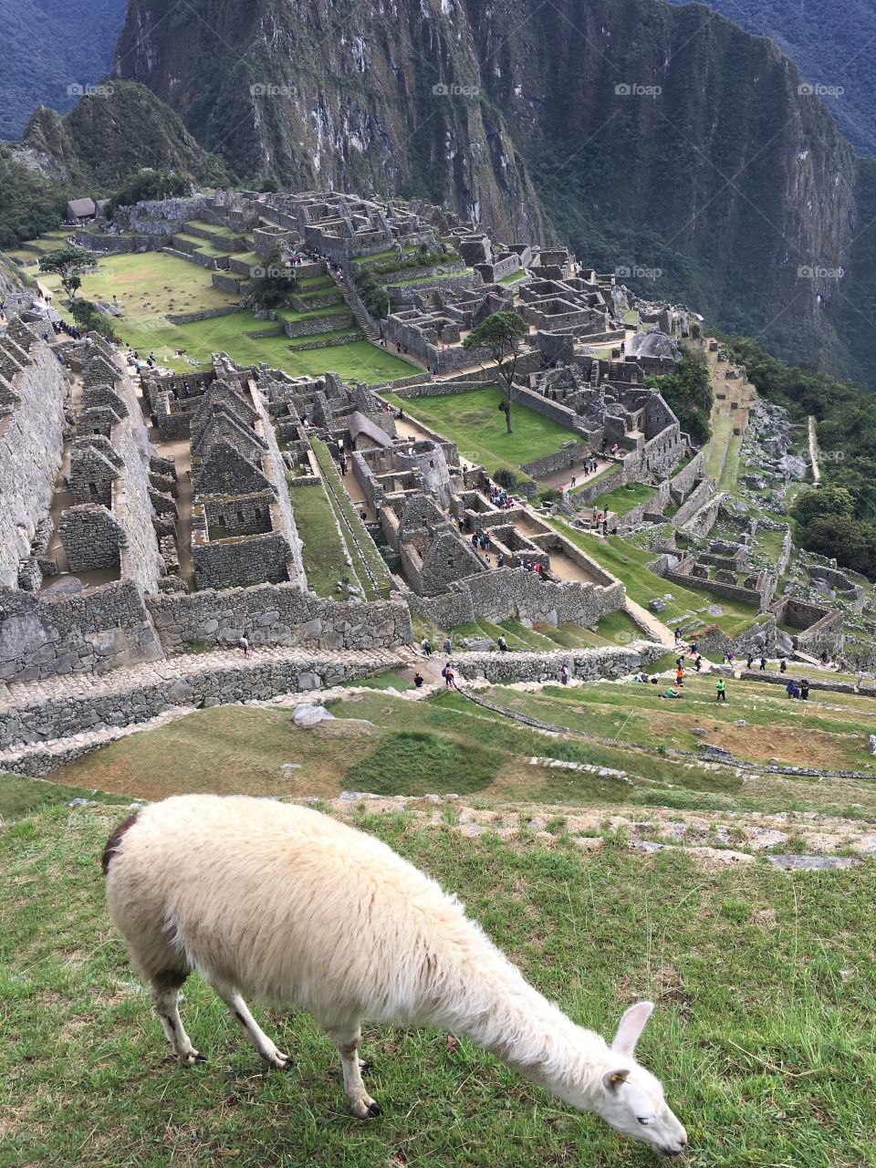 Travel, Mountain, Landscape, Tourism, Nature