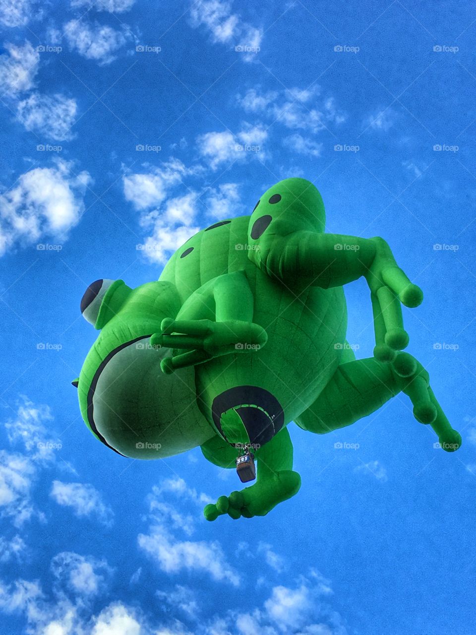 Hot Air Ballon Festival Green Frog