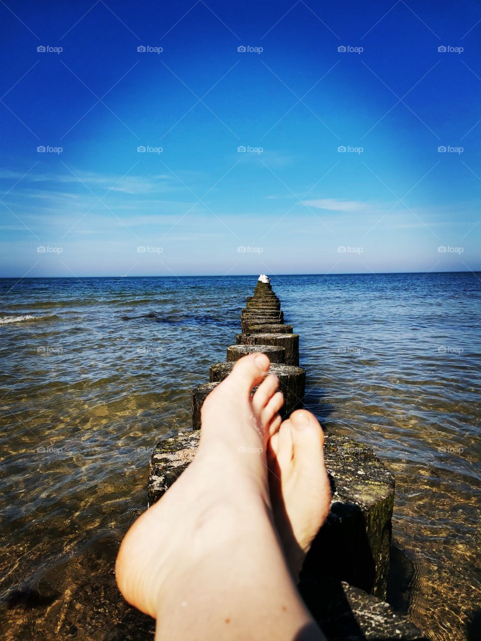 Close up of female feed with view to the ocean