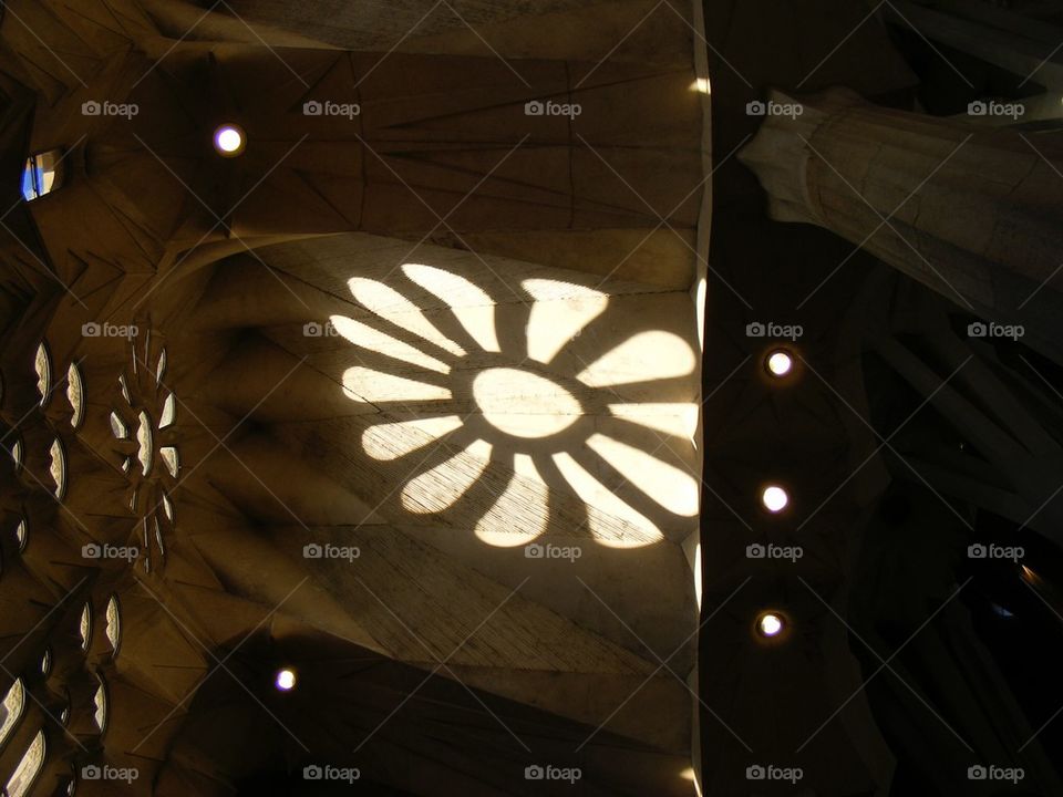 Flower shaped shadow