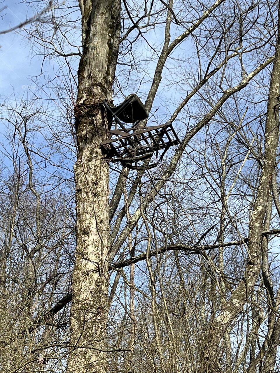 Tree stand 