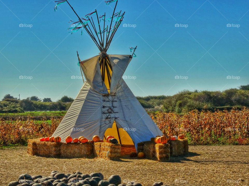 Native American Home