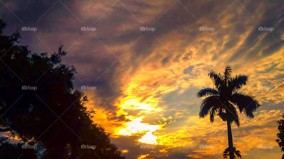 beautiful sunrise in South Florida