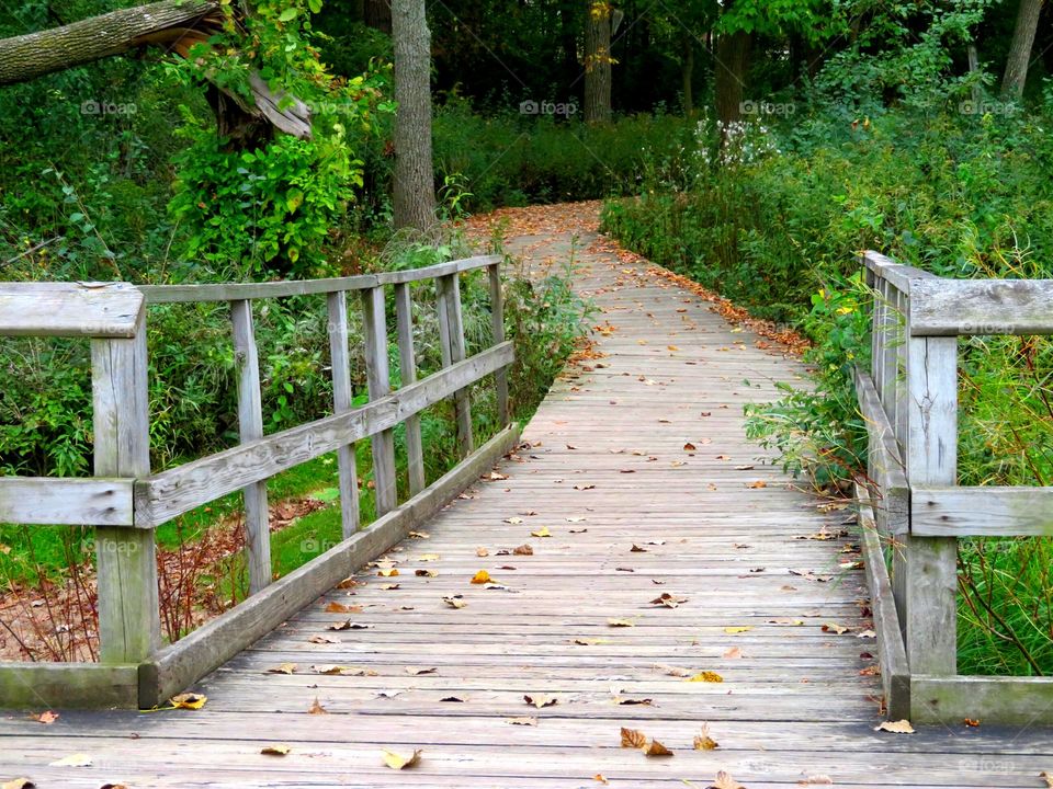 Boardwalk in September