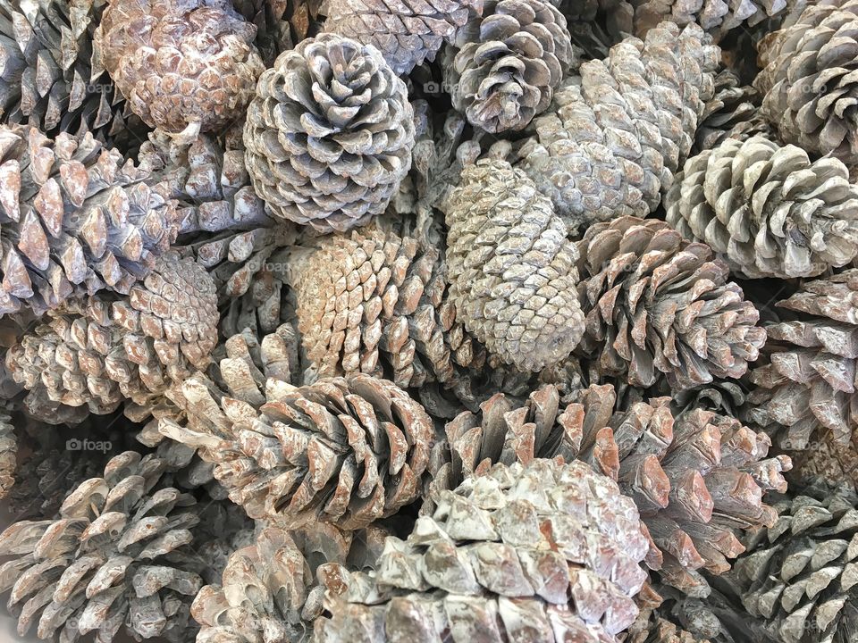 Pine cone decoration