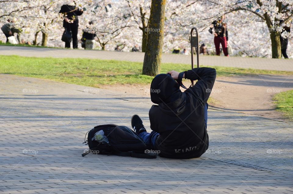 photographer taking cherry garden photo