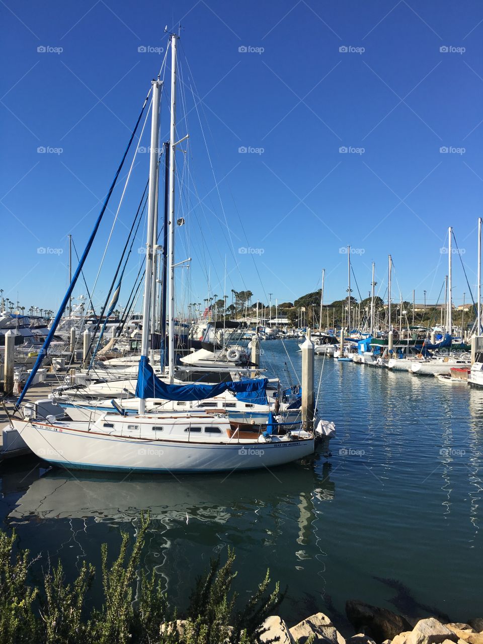 Oceanside Marina