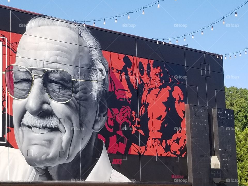 Portrait in graffiti artwork of Stan Lee very lifelike captures facial features very well.