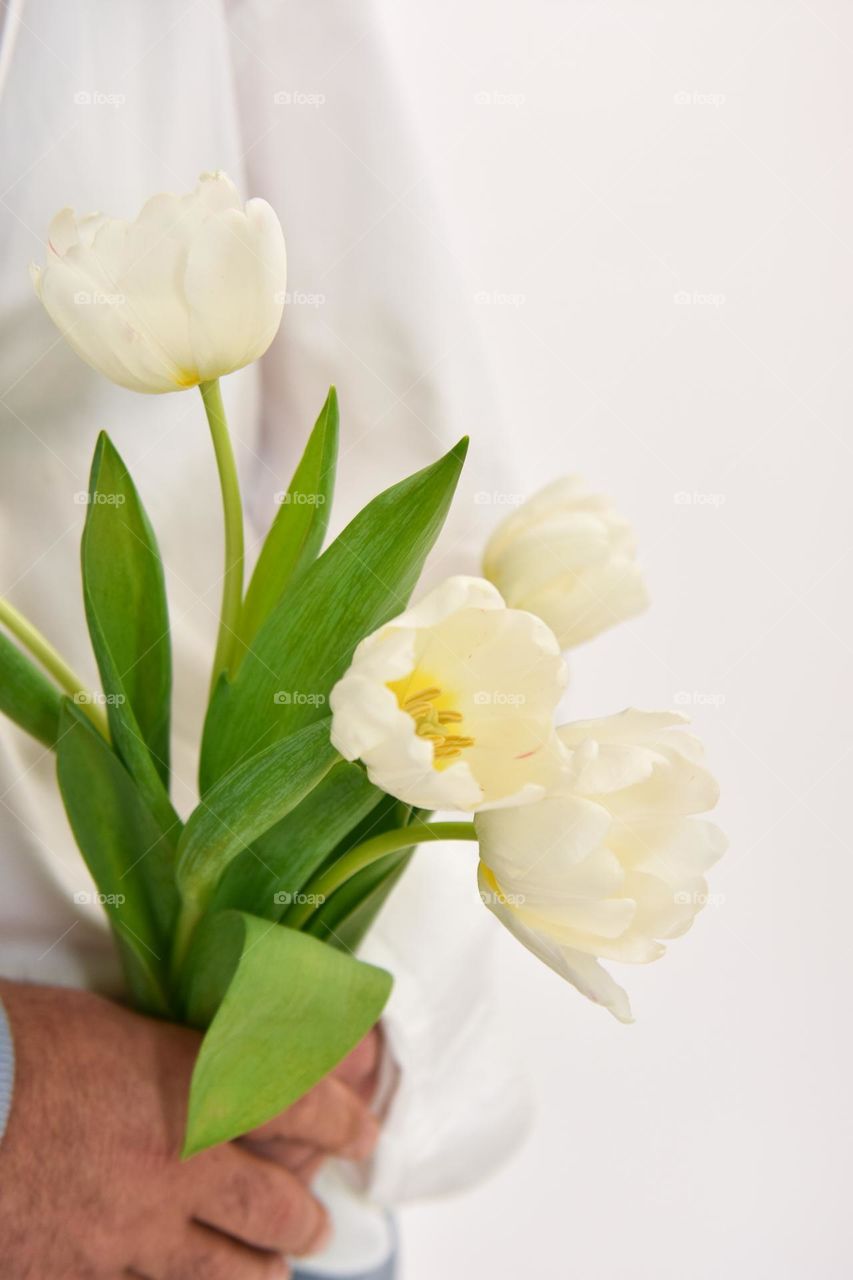 Bouquet of white tulips in a female hand on a white background. Concept gift for Valentine's day, birthday, 8 March, mother day. Copy space.