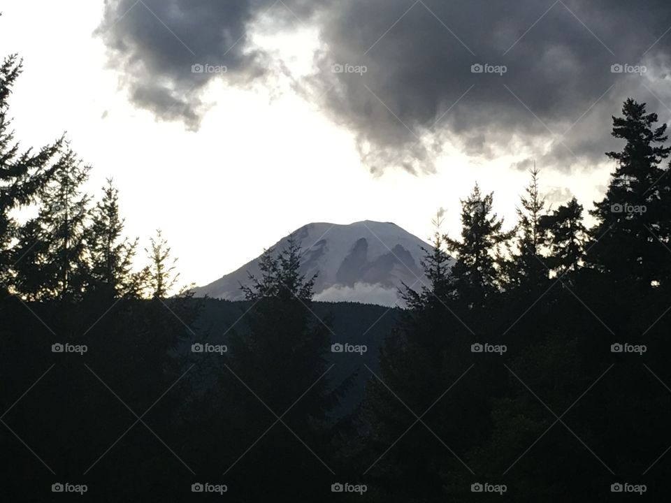A beautiful view of the mountain with the gray background of overcast skies between evergreen trees in Washington state