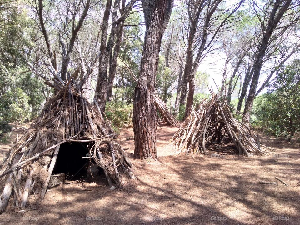 Editors' Choice - Photo of the Week