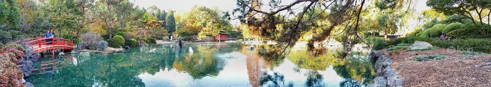 Panorama view of the Japanese Garden section of Auburn Botanical Gardens, Auburn, Sydney, Australia.