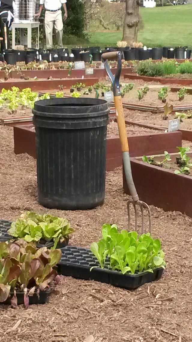 garden tools