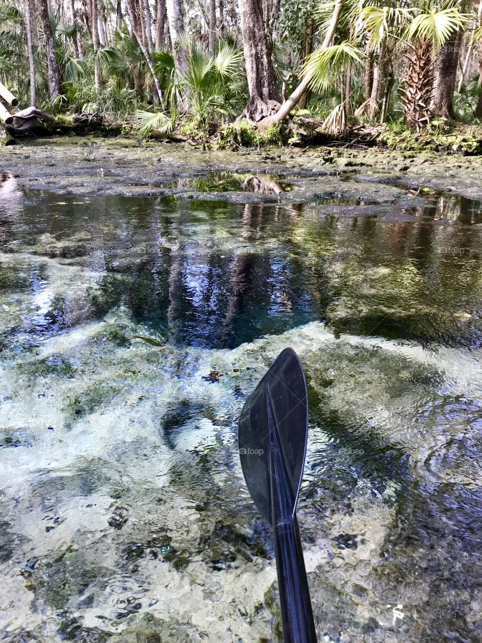 A crystal clear river feed by underground springs found while kayaking 