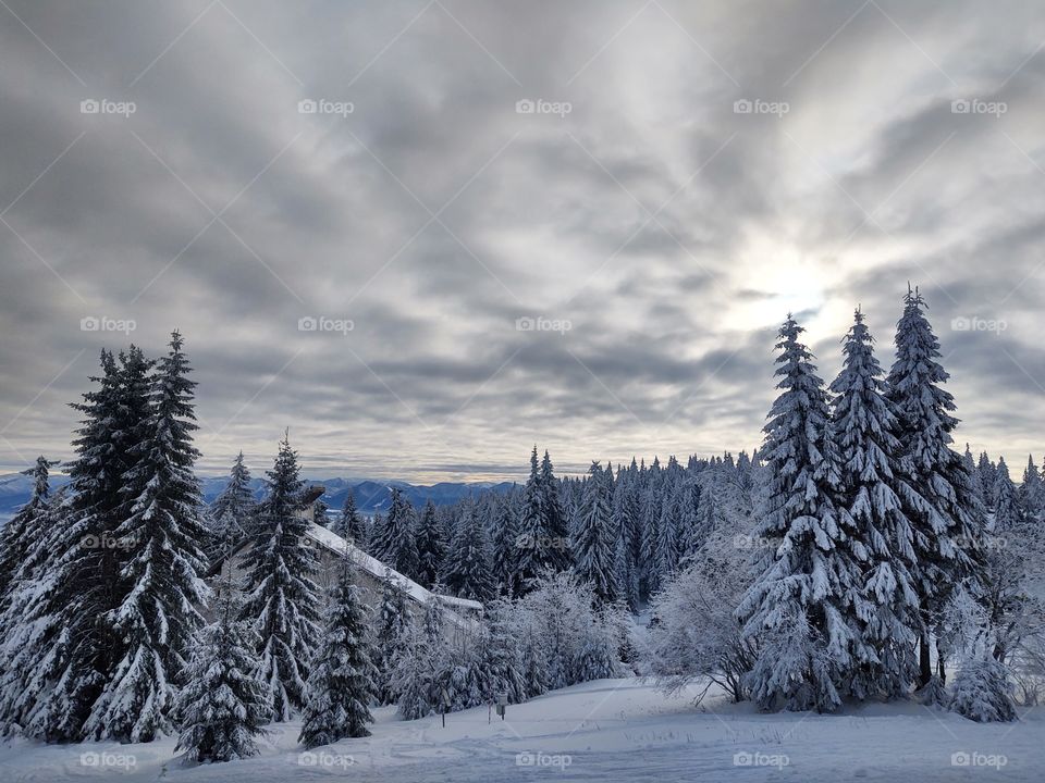 Winter view to the country covered by snow in the mountains. Slovakia