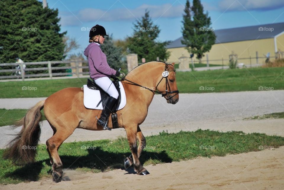 Dressage day. A beautiful sable horse and its rider practice for competition on a crisp  fall day