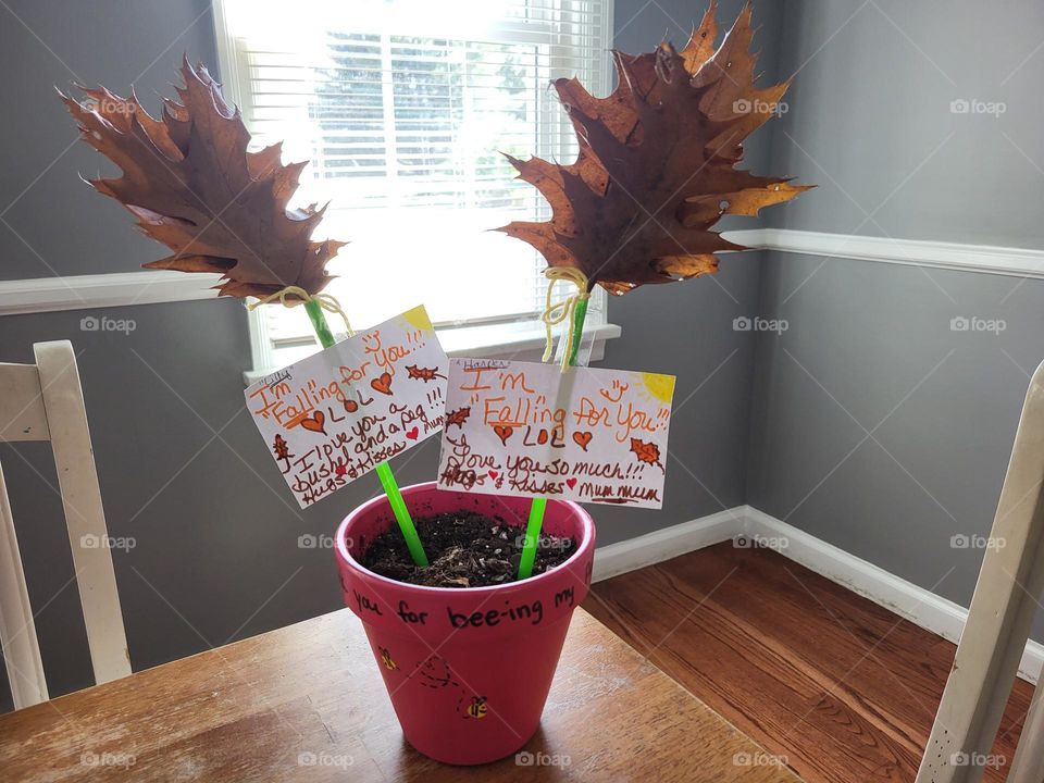 Fall Decoration