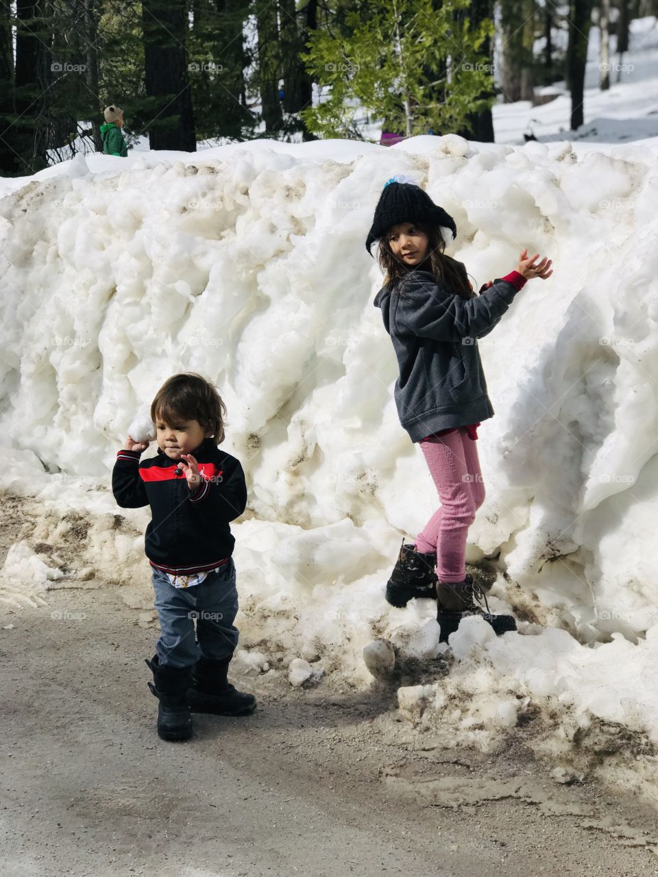 Buddy and Sissy on the side of the snowy road 
