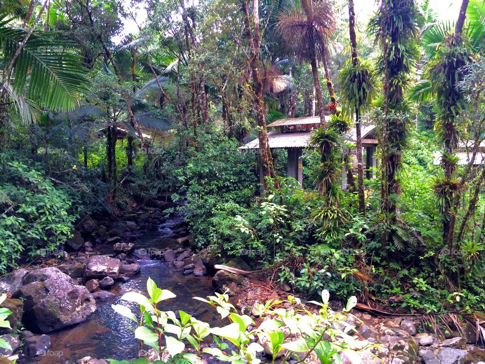Rainforest Camps. A few stone buildings built for campers in El Yunque National Rainforest Park in Puerto Rico.