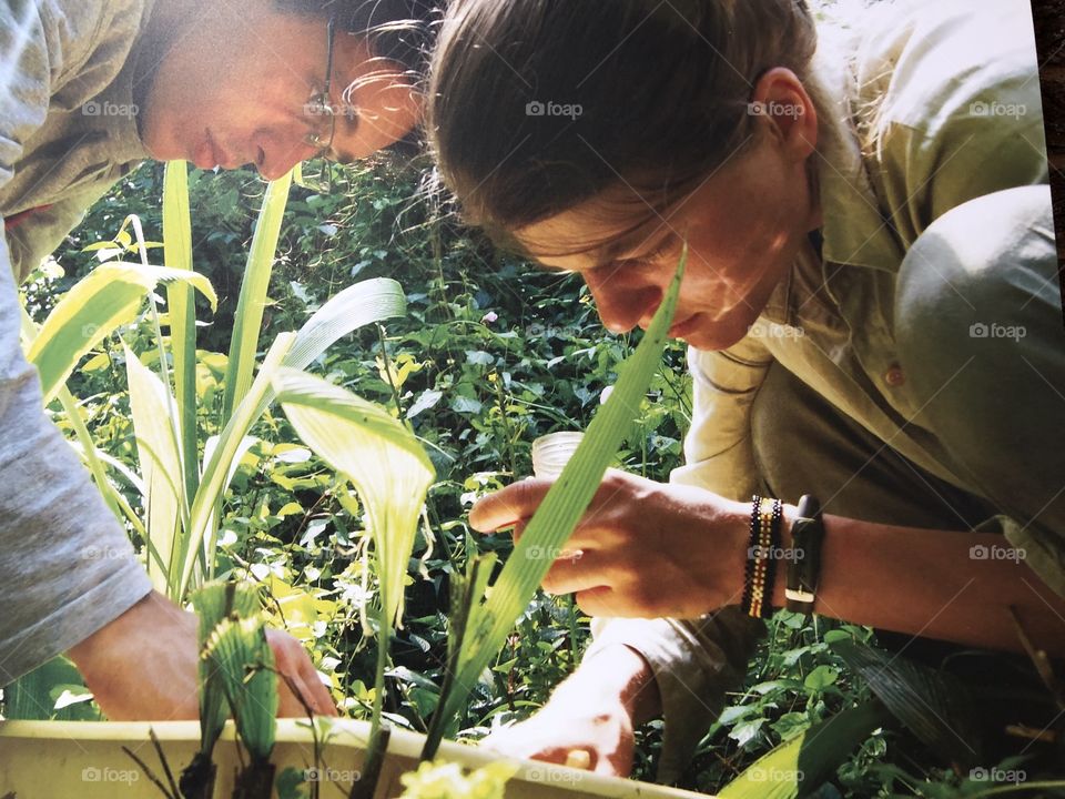 This photo of some horticulturists at work with some flora, demonstrates the care and attention they are showing to their genre.