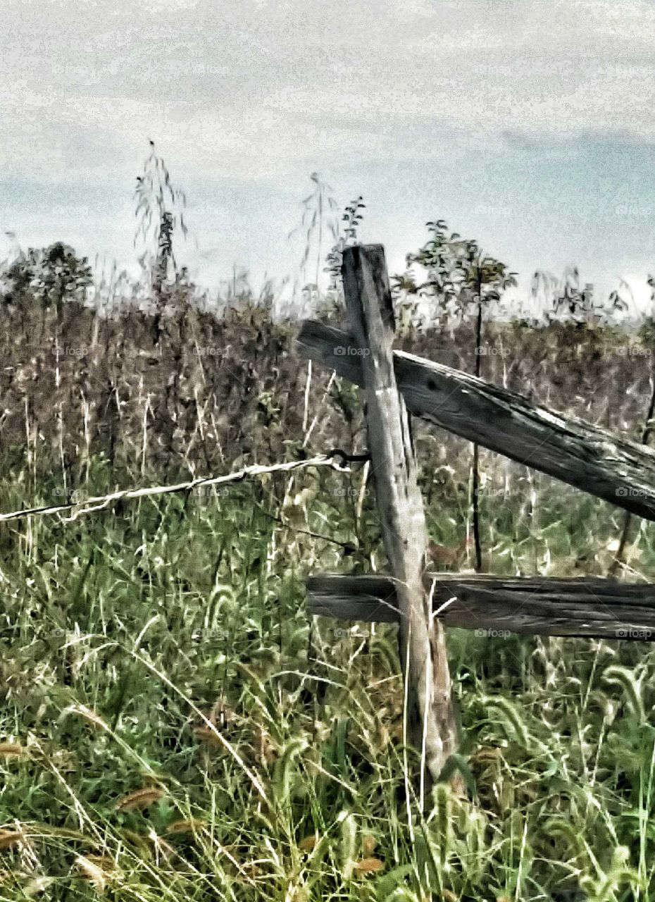 Broken Fence