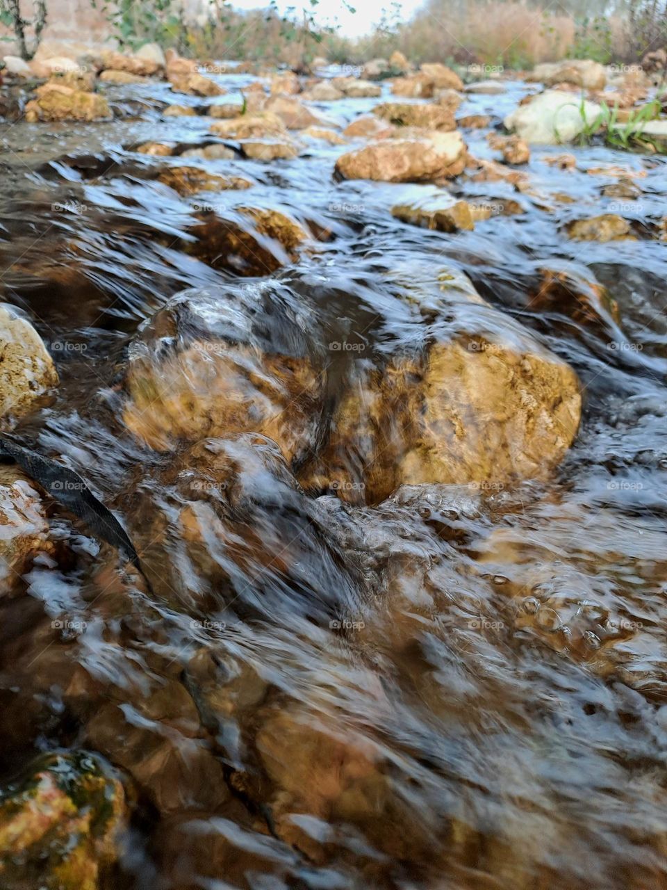 ice a photo to the river