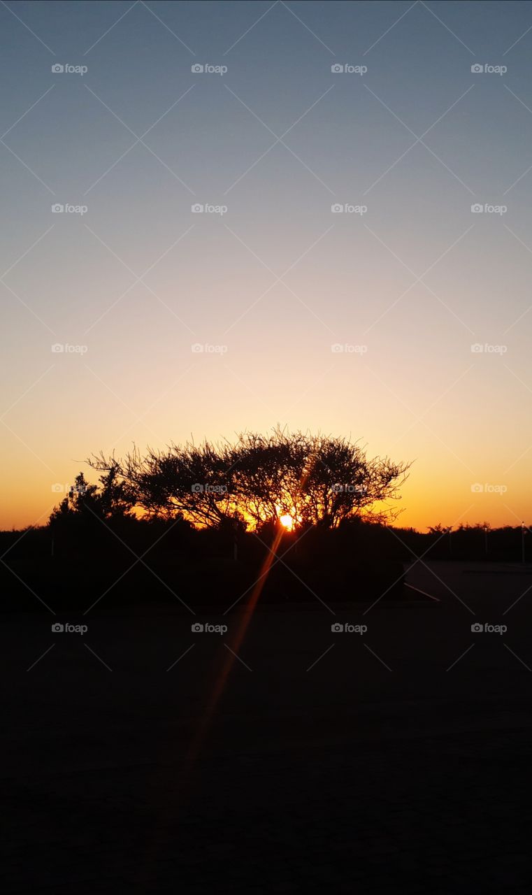 There is always ray of hope to show you  the way of success.

Golden hour moment @Al Ain zoo #Uae