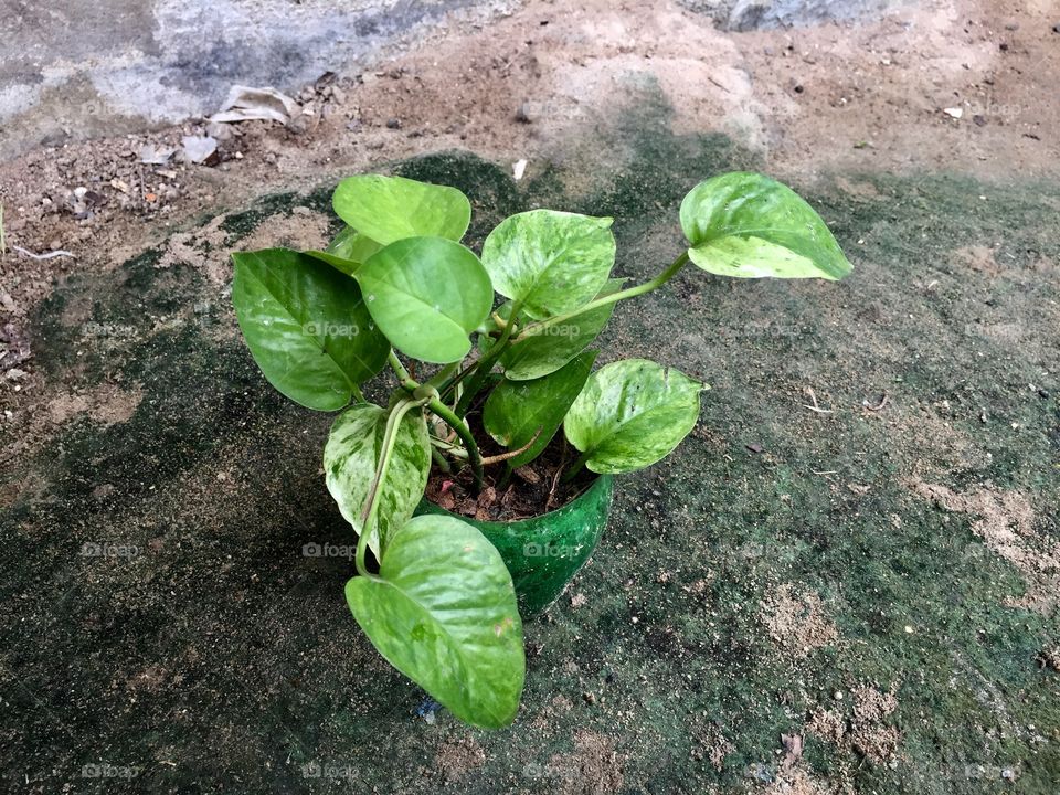 Home is where the pants are