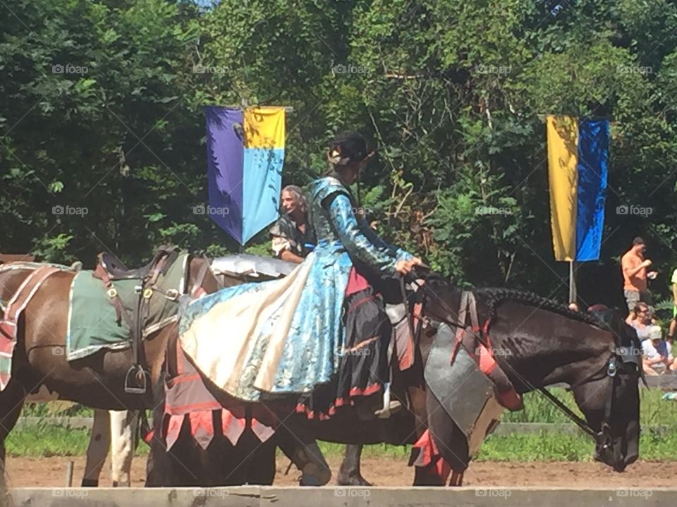 Noblewoman of the Shire at the joust
Sterling Renaissance Festival 