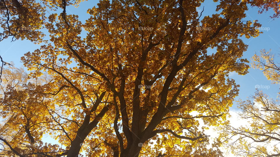 A sunny day in autumn