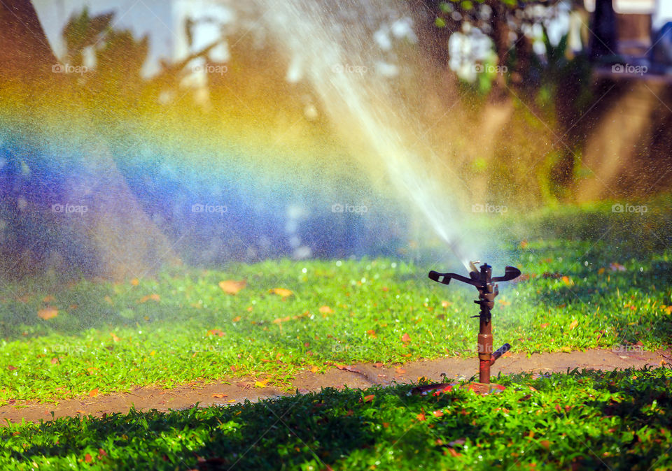 Sprinkler, Nature, Landscape, Leaf, Grass