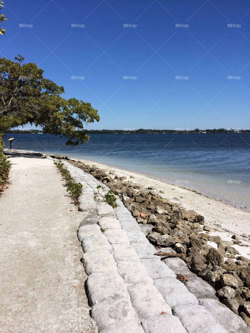 Reliving unexplored shores