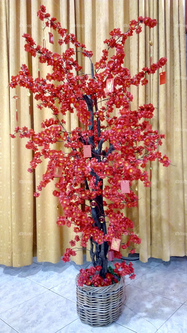 angpao tree..chinese new year