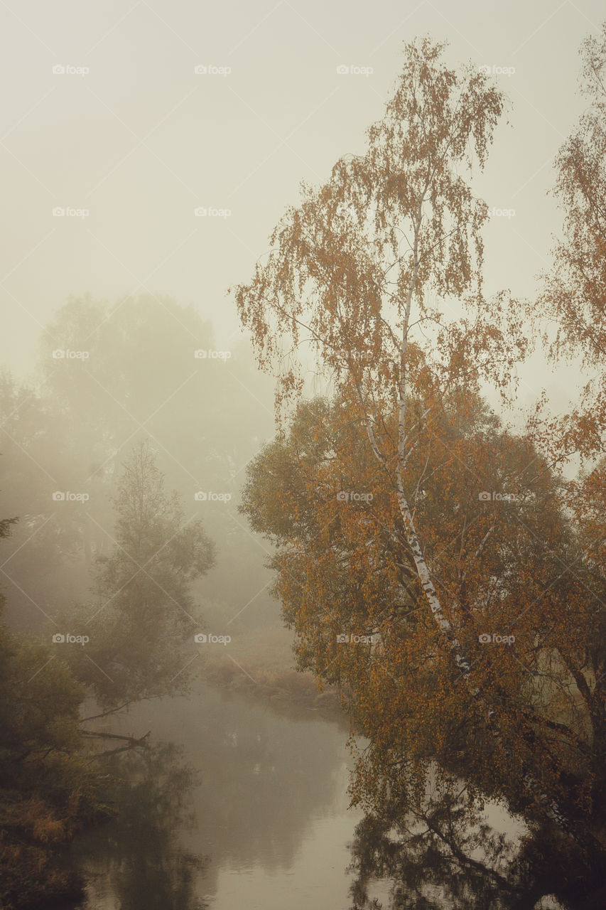 Autumn misty landscape at early morning 