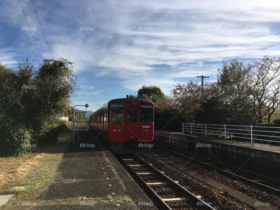 Tranquil Pathway: Capturing the Rural Charm of Kyushu Kurume 