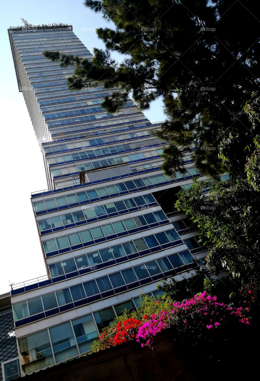 Torre latinoamericana