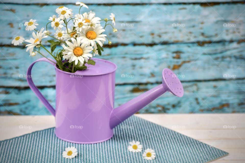 still life bouquet of field daisies in a watering can