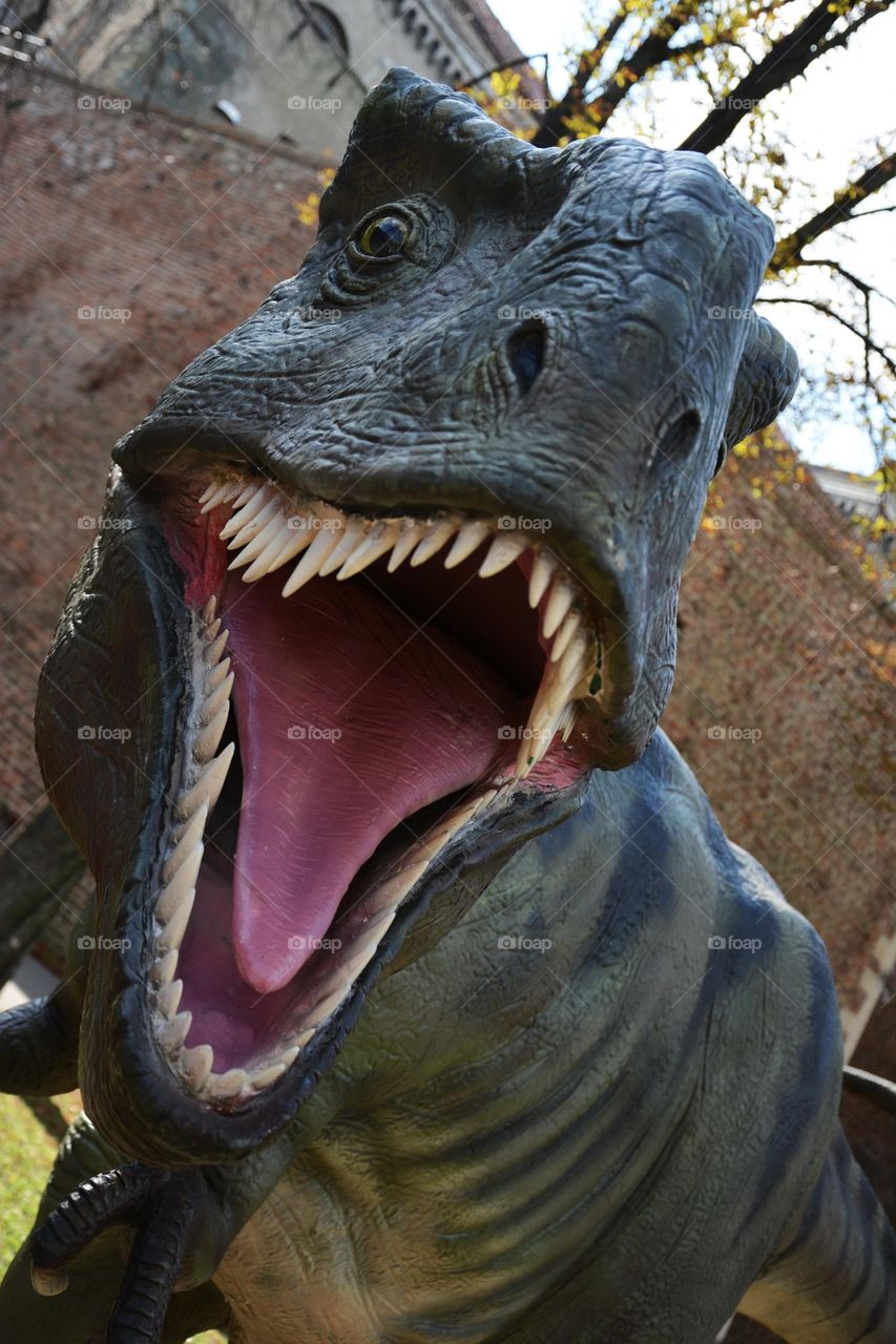 dinosaurus tirex close up