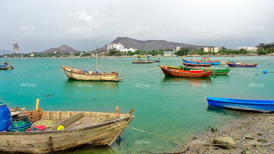 Docked fishing boats