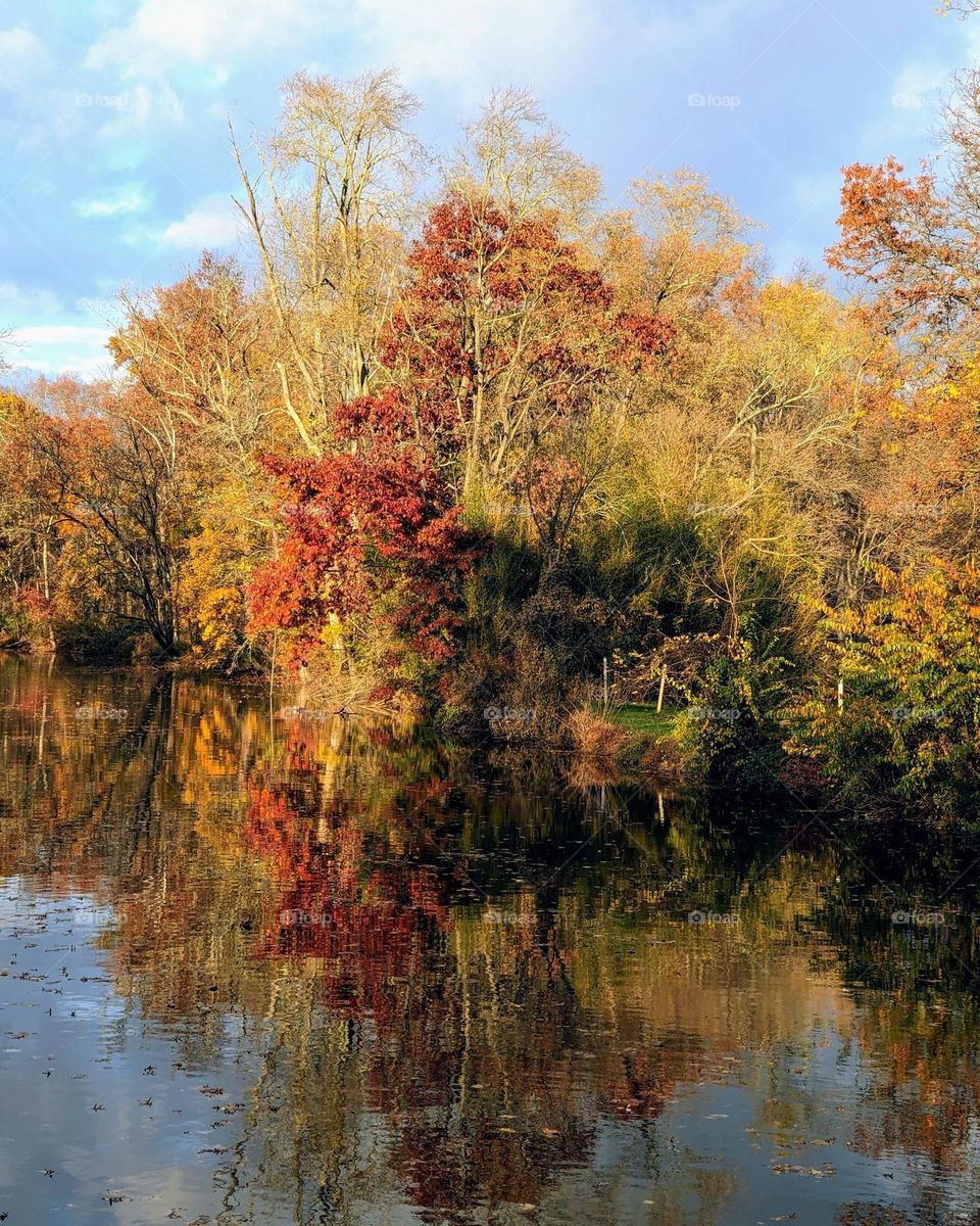 Autumn River