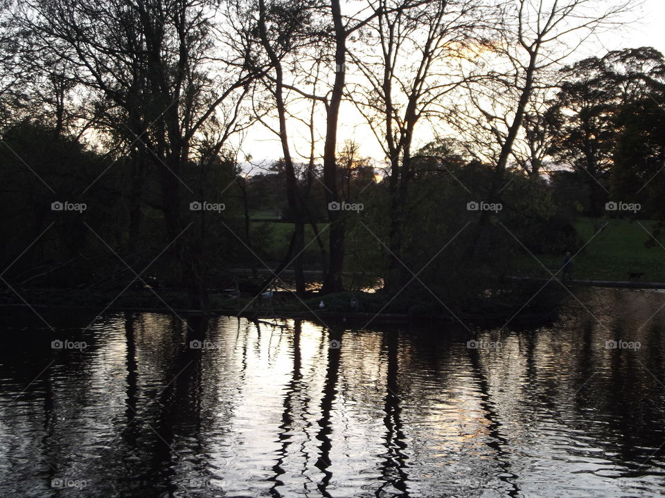 Reflections At Dusk