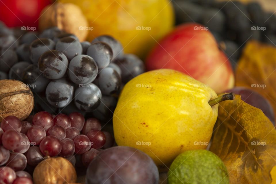 Harvest. Close-up.