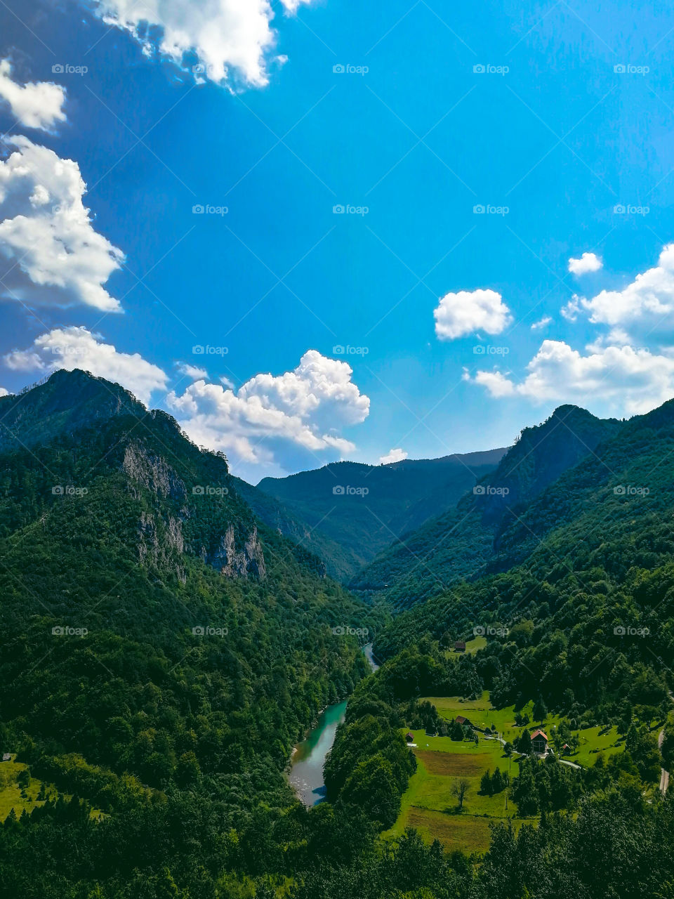 Beautiful view of green canyons in Montenegro