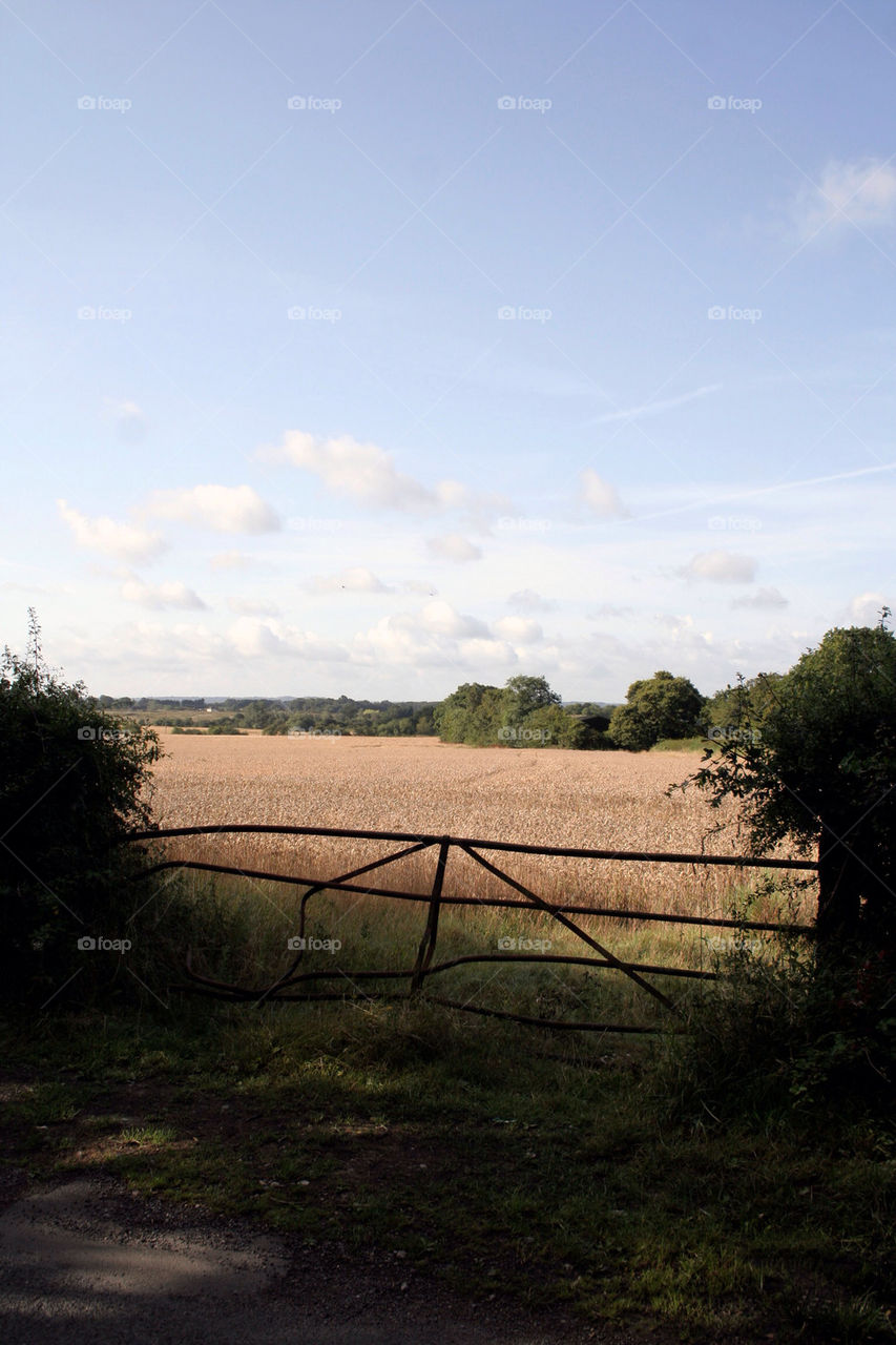 summer countryside gate rusty by dannytwotaps