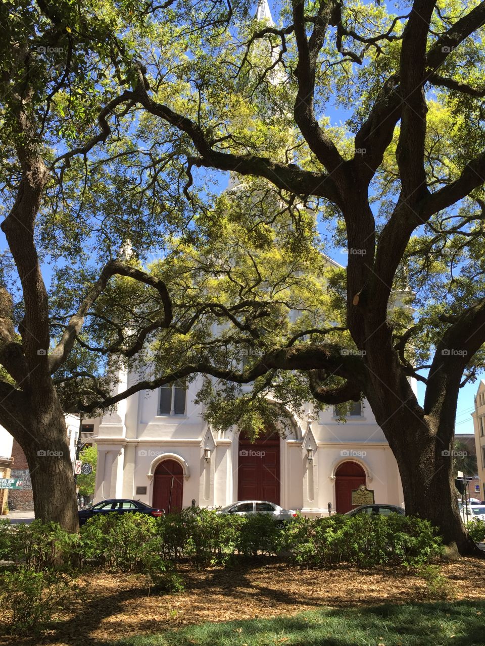 Church in savannah