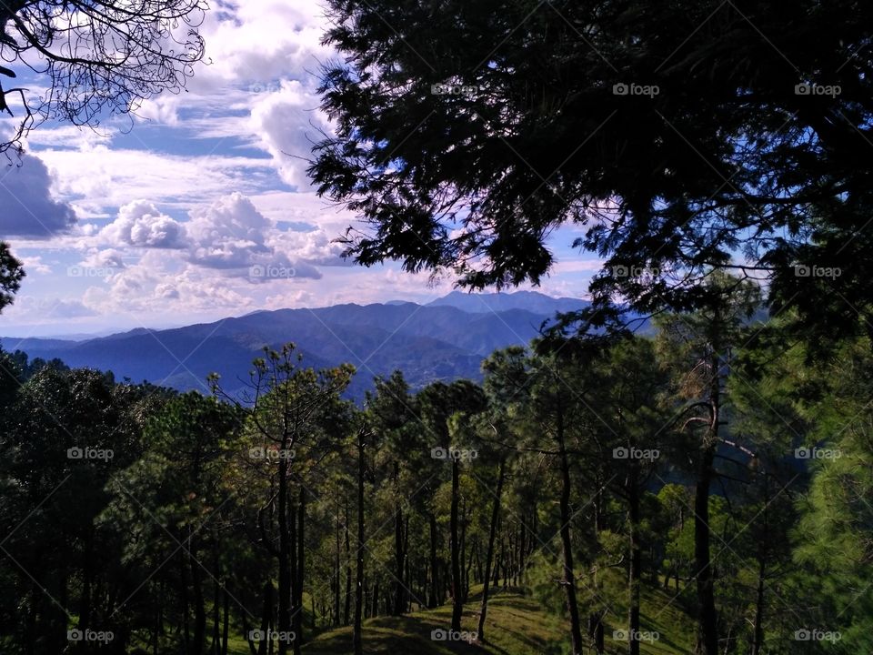 A Himalayan View.