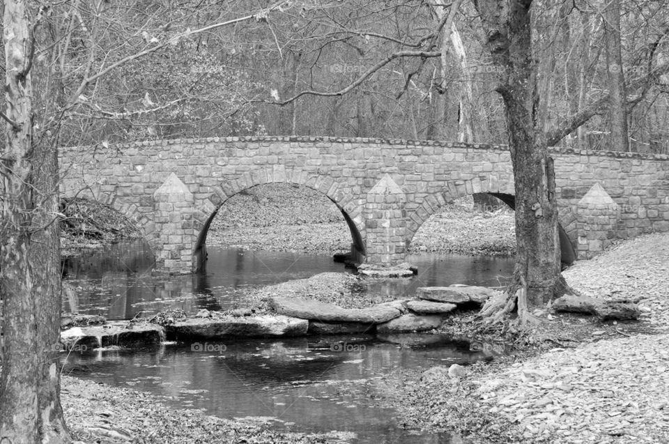 Black and white bridge