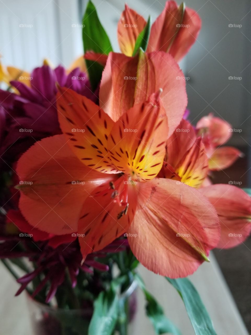 Valentines Tiger Lily