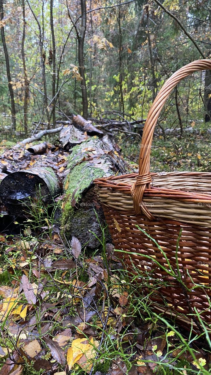 Корзина Basket